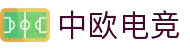 中欧电竞-你的全球电竞第一视野